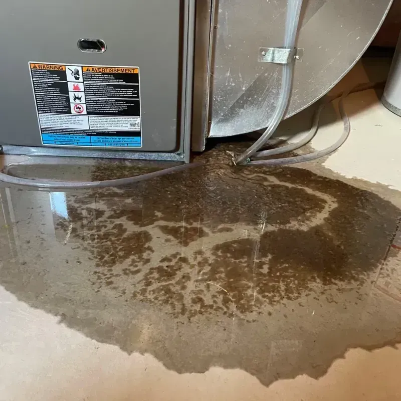 Appliance Leak Cleanup in Allen Parish, LA